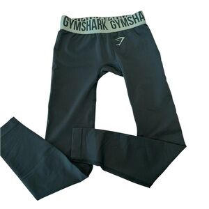 Gymshark Women’s Leggings Dark Green Size XS